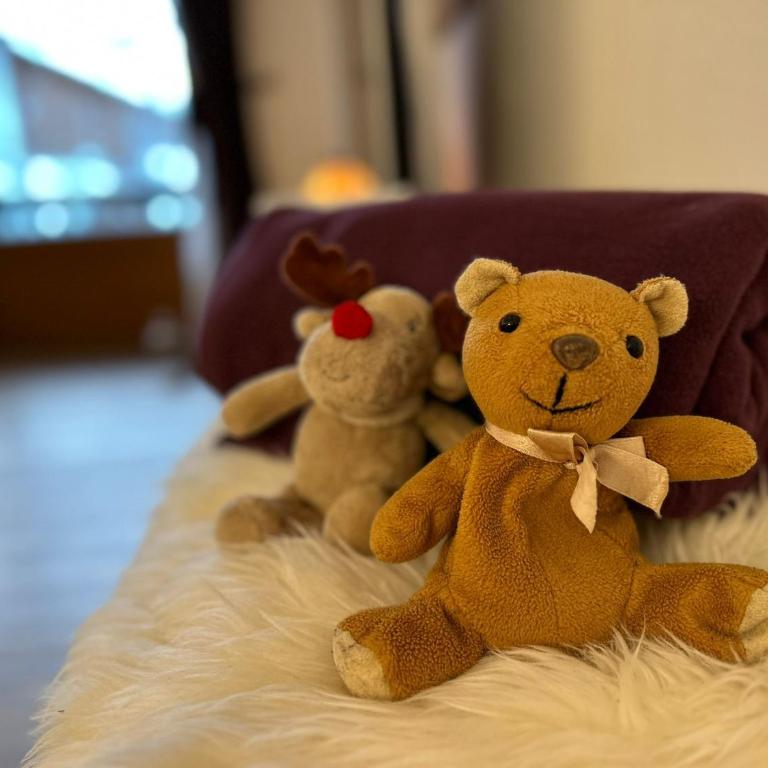 Alpennest Burgberg - Apartment mit 1 Schlafzimmer - 22