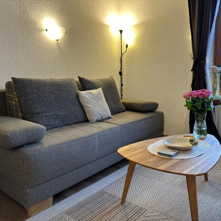 Alpennest Burgberg - Apartment mit 1 Schlafzimmer - 13