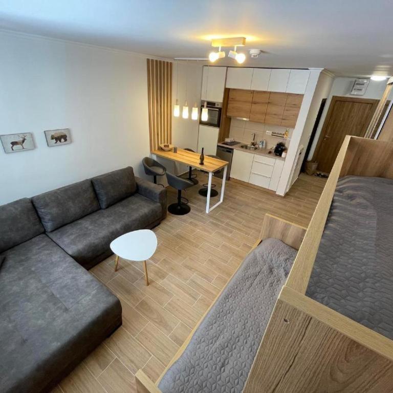 Tavita Kopaonik - Apartman sa 1 Spavaćom Sobom - 6