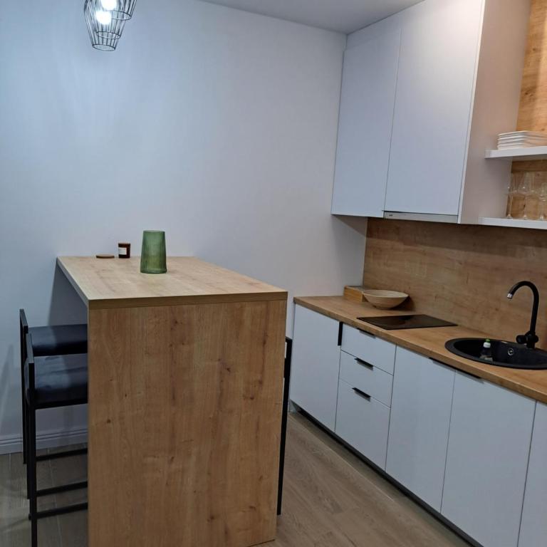 Apartman ISKRA Villa Mont - One-Bedroom Apartment - 6