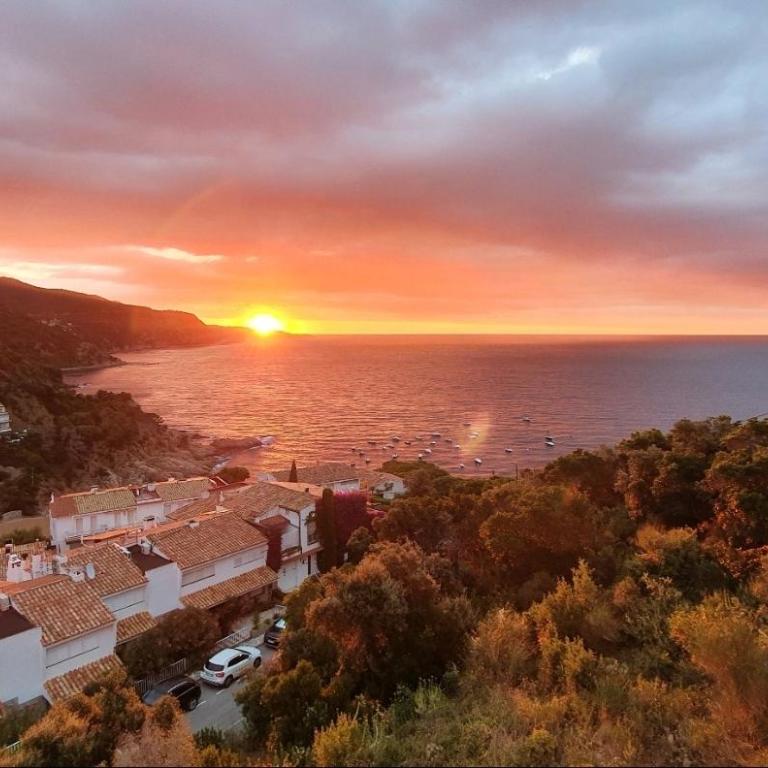 ⭑ Sea views + private beach. What else? ⭑ - Apartamento de 2 dormitorios - 16