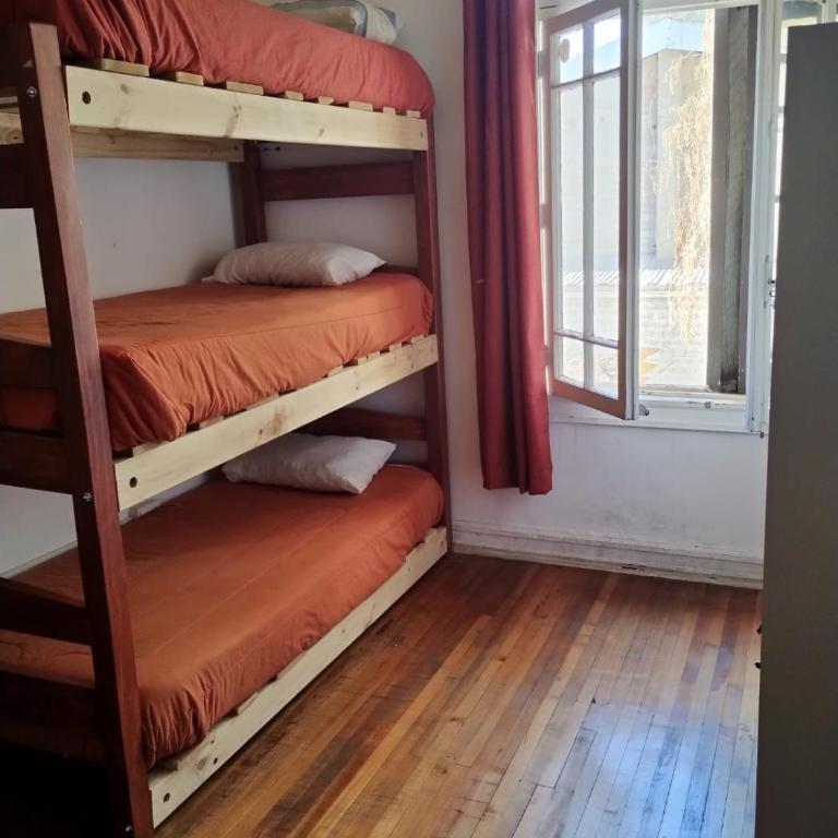 Wild Bellavista Hostel - Litera en habitación compartida mixta - 4