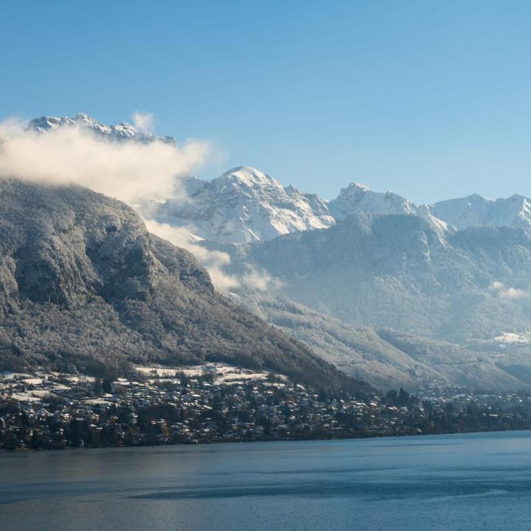 Le Panoramic - Magnifique Vue sur le lac d'Annecy - Apartment - 10