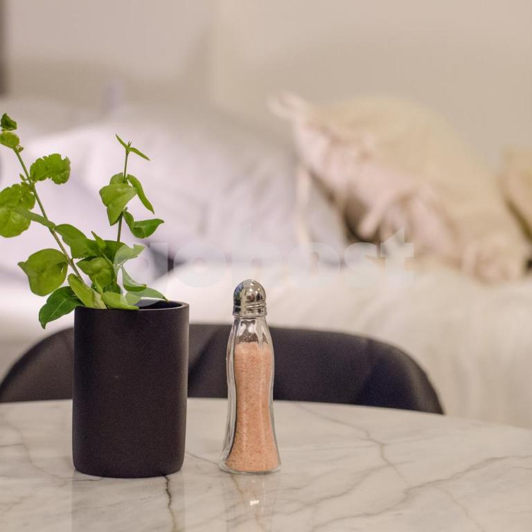 Cozy Studio 2 blocks from Shopping del Sol - Apartamento Estudio - 11