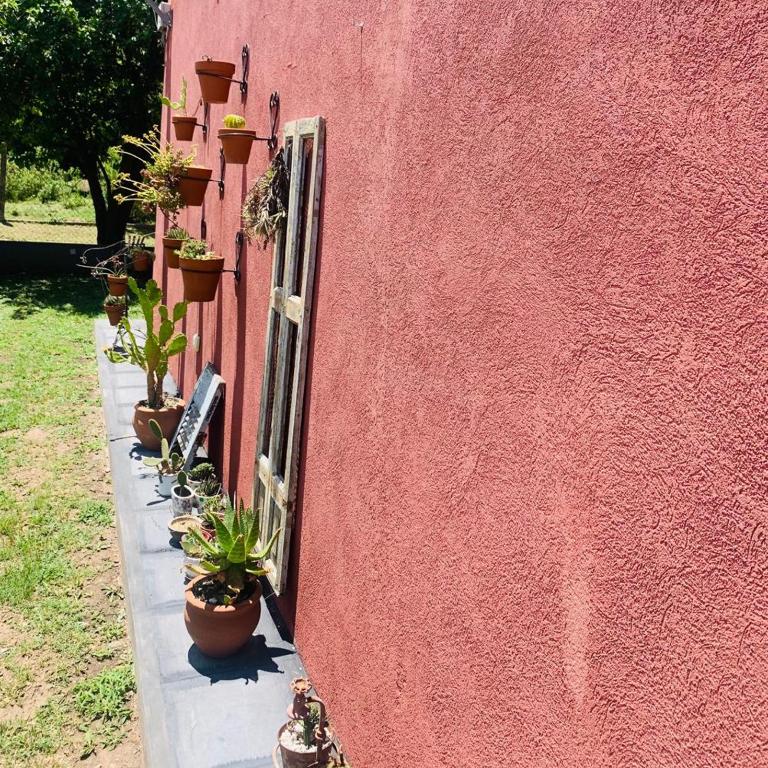 La Mora Home - Casa de Campo - Two-Bedroom House - 13