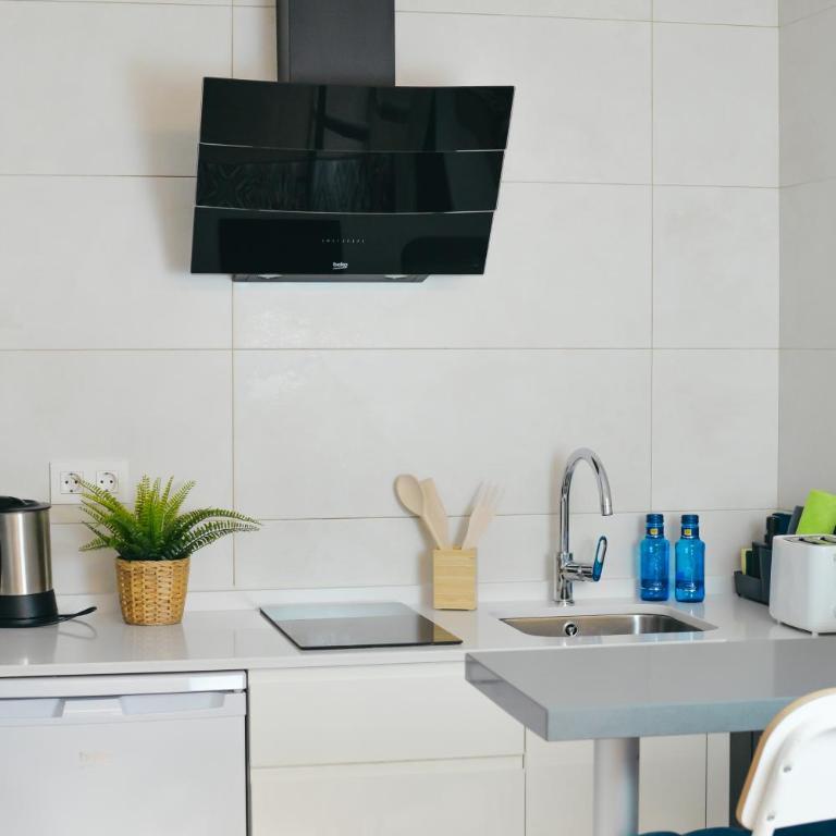 Larios Premium Apartments - Apartamento - Planta baja - 2