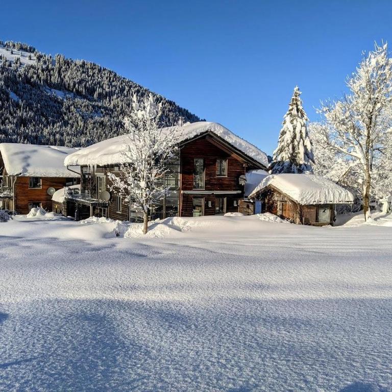 Ferienwohnungen Nachbaur - Apartment - Erdgeschoss - 16