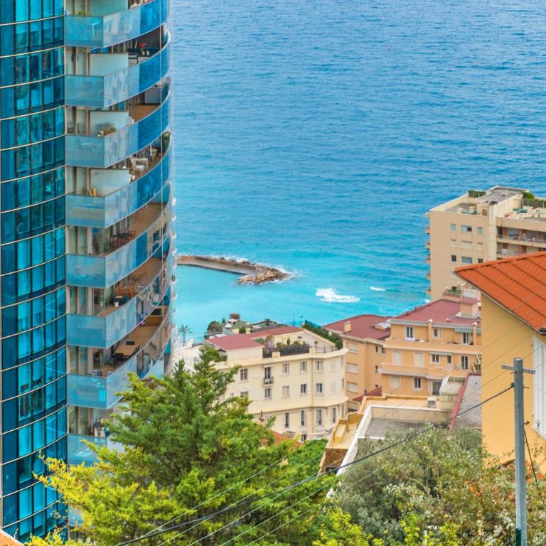 Vue Monaco & Tour Odéon - Terrasse - Parking - BH - Appartement 1 Chambre - 28