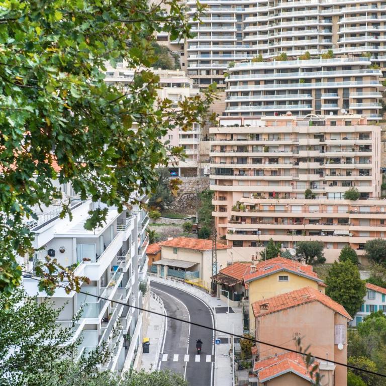 Vue Monaco & Tour Odéon - Terrasse - Parking - BH - Appartement 1 Chambre - 33