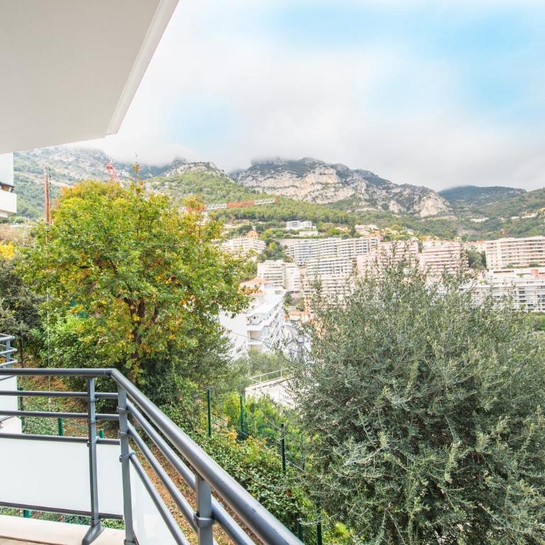 Vue Monaco & Tour Odéon - Terrasse - Parking - BH - Appartement 1 Chambre - 32