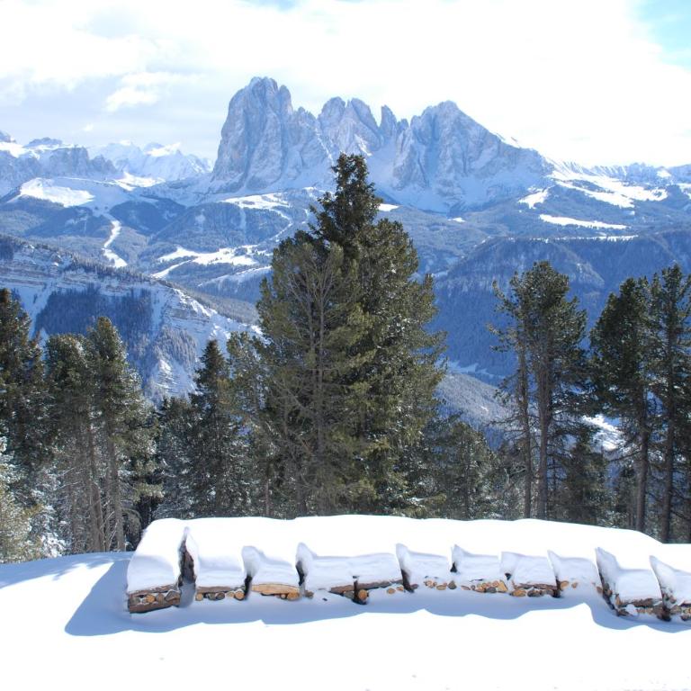 Chalet Resciesa Ortisei - Camera Matrimoniale con Vista Montagna - 7