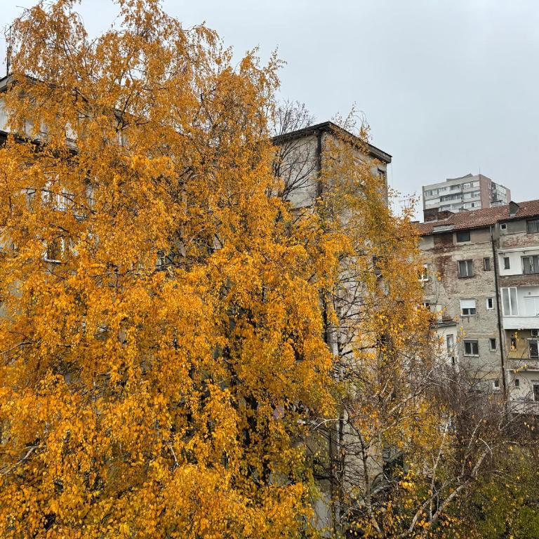 AQUA Apartment - Apartman sa 1 Spavaćom Sobom - 15