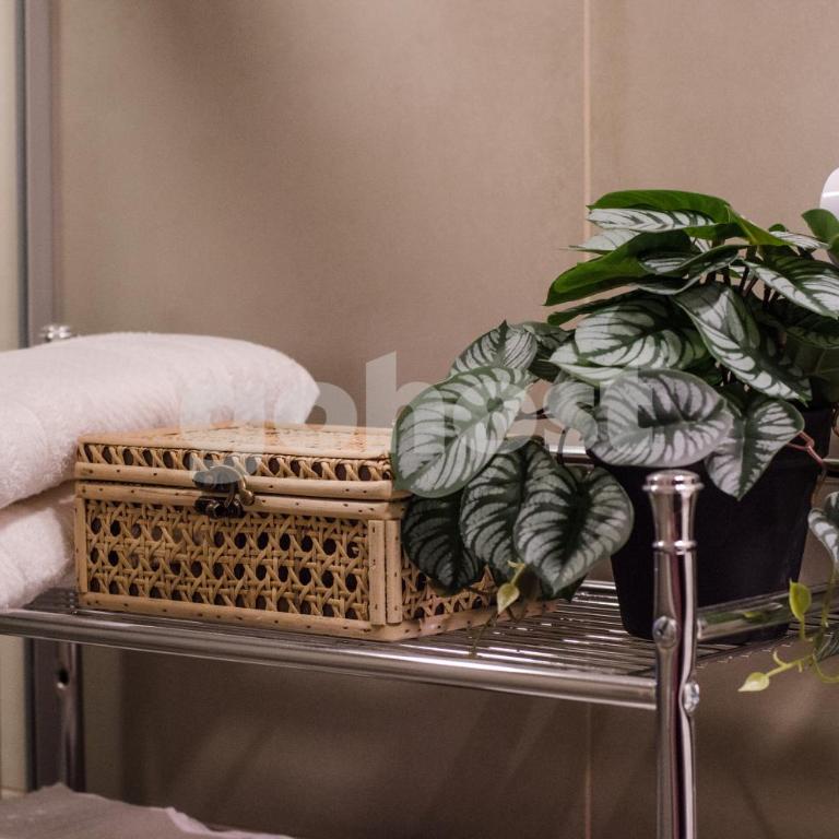Cozy Studio 2 blocks from Shopping del Sol - Apartamento Estudio - 22