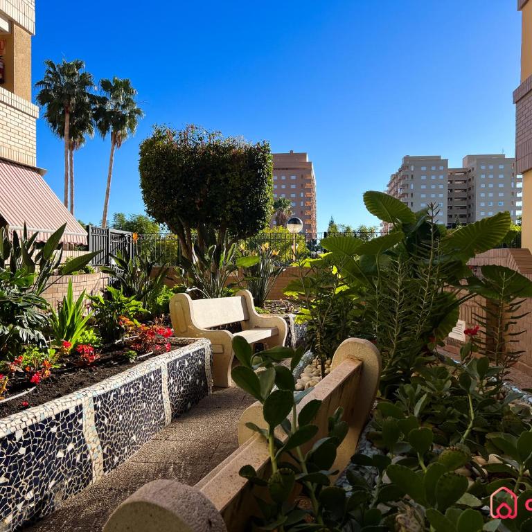 El Oasis - Apartamento de 2 dormitorios - 25