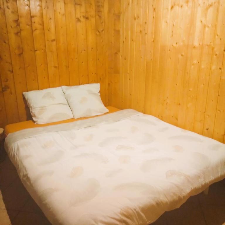 Charmant duplex 70m2,type châlet savoyard - Appartement 2 Chambres - 3