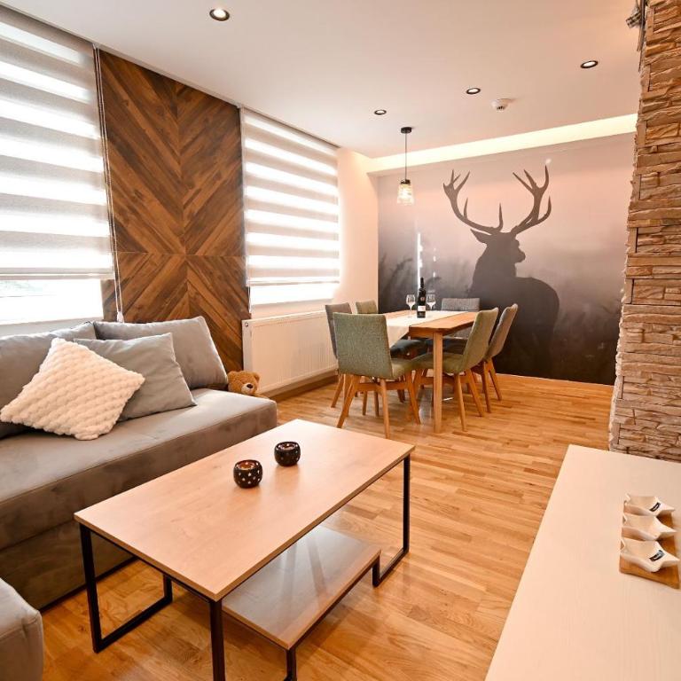 Grand Apartman Jahorina - One-Bedroom Apartment - 19