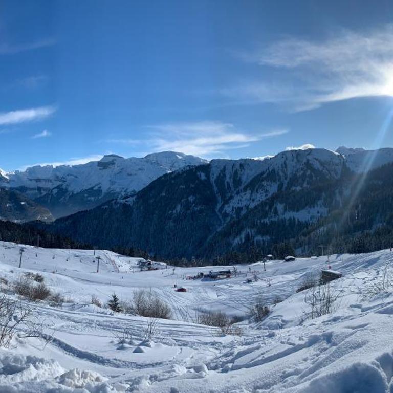 Samoens 1600, ski au pied - Appartamento con 1 Camera da Letto - 27