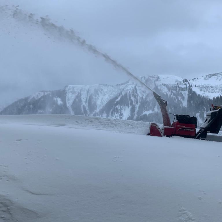 Samoens 1600, ski au pied - Appartamento con 1 Camera da Letto - 22