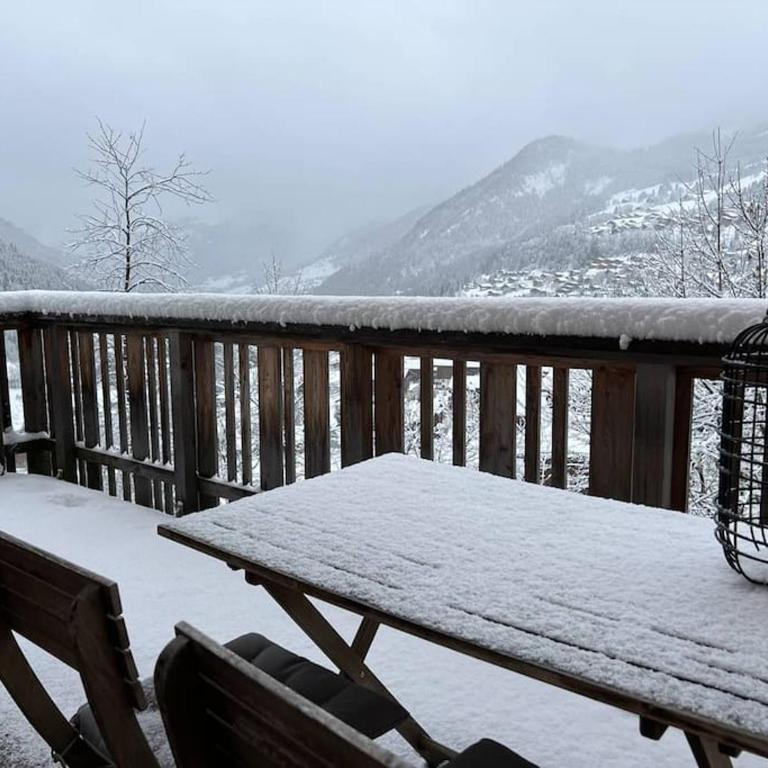 Loges Blanches - APT B404 -BO Immobilier -Châtel Multipass 2026 Activités en Été offert par votre hôte - Apartment mit 2 Schlafzimmern - 17