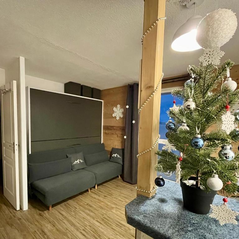 Samoens 1600, ski au pied - Appartamento con 1 Camera da Letto - 20