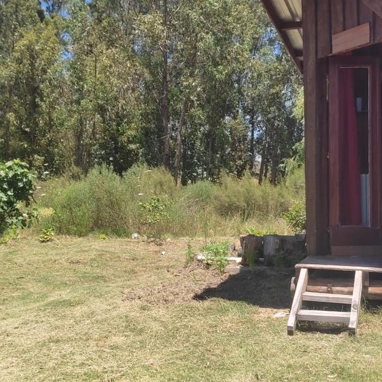 Chacrita Aguaribay - One-Bedroom Apartment - 5