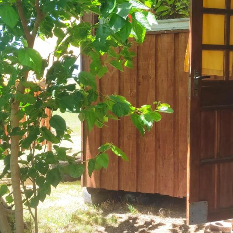 Chacrita Aguaribay - One-Bedroom Apartment - 11