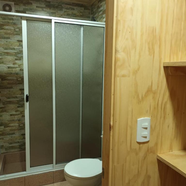 Cabaña Los Raulies, Neltume - One-Bedroom Apartment - 3