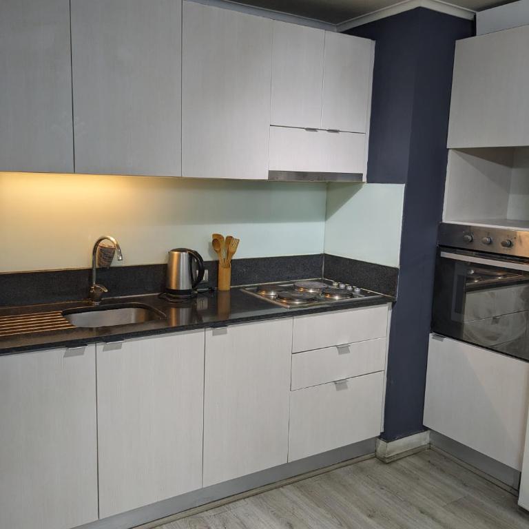 Departamento de una habitacion en Santiago - Apartamento de 1 dormitorio - 38