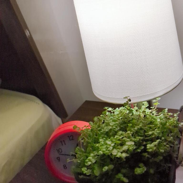 Departamento de una habitacion en Santiago - Apartamento de 1 dormitorio - 41