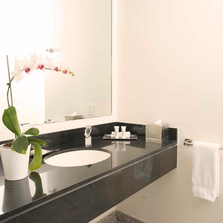 Hilton Colon Guayaquil Hotel - King Room - 7