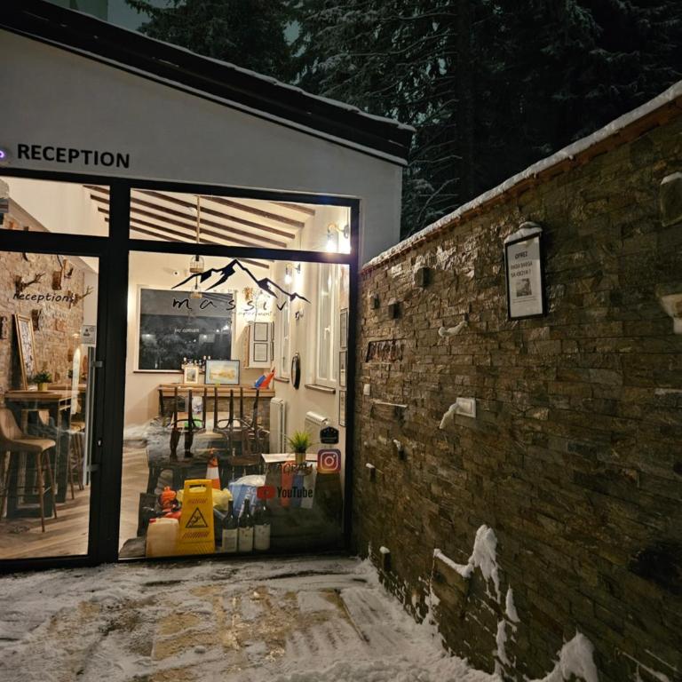 MASSIV Kopaonik centar lux apartmani - Apartman sa 1 Spavaćom Sobom i Pogledom na Park - 17