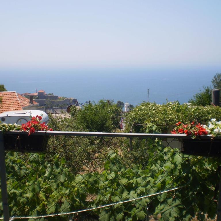 Apartment Vuk i Novak - Apartment with Sea View - 39