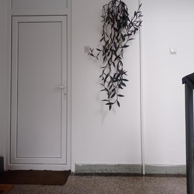 Smart Apartman - Apartman - 14