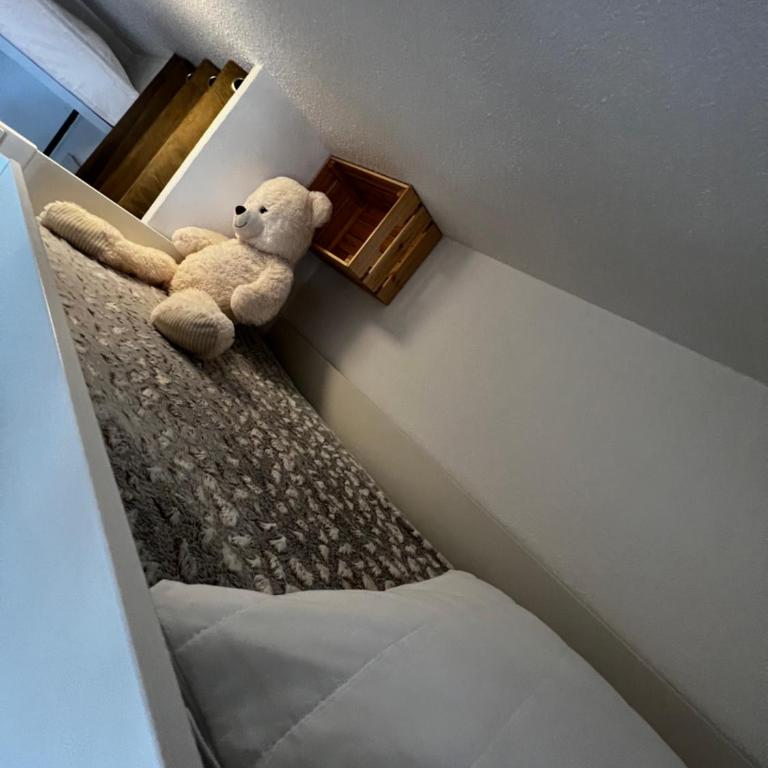 La joue du loup, aux pieds des pistes et vue sur montagnes - Apartamento de 1 dormitorio - 14