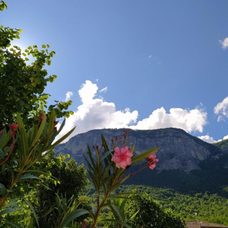 Cocon au pied de la Chartreuse - Chambre Double - Vue sur Jardin - 5