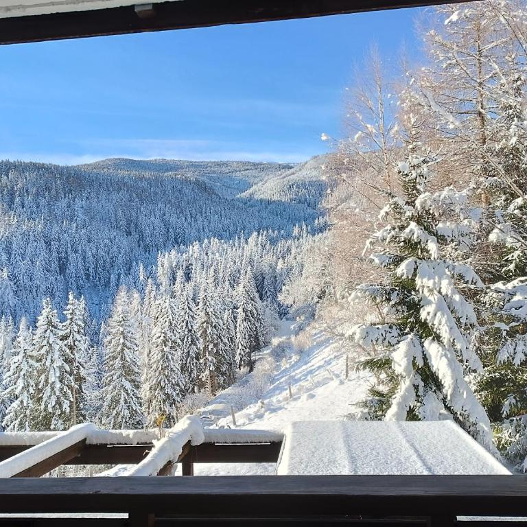 Bergkristall Ruhe und Aussicht auf 1100m - Appartement 1 Chambre - 26