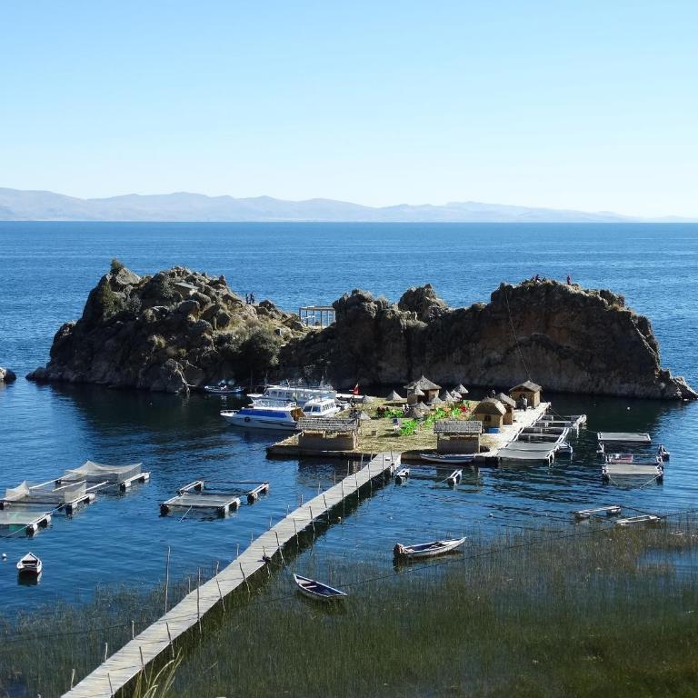 HABITARE - Apartamento de 1 dormitorio - 8