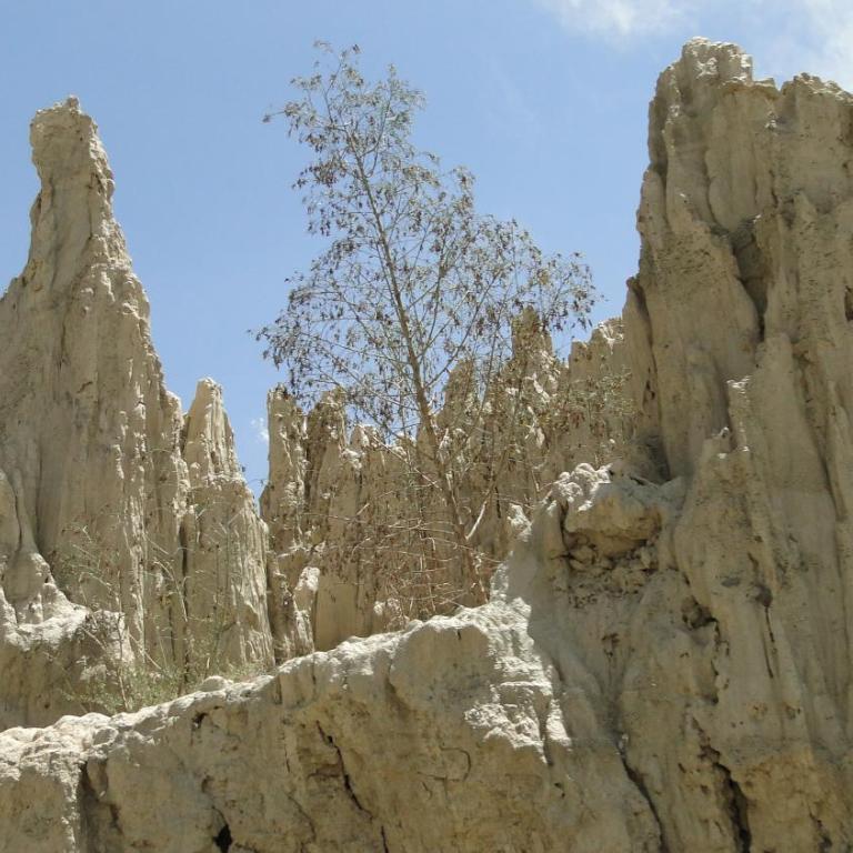 HABITARE - Apartamento de 1 dormitorio - 14