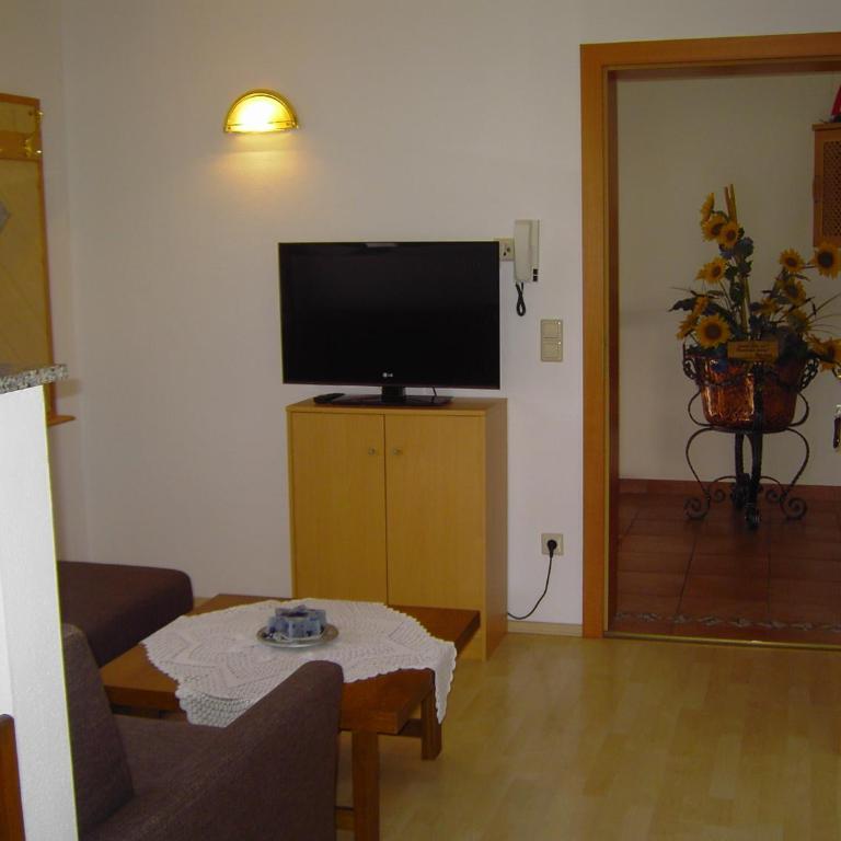 Appartement Pichler - Apartment mit Blick auf die Berge - 1