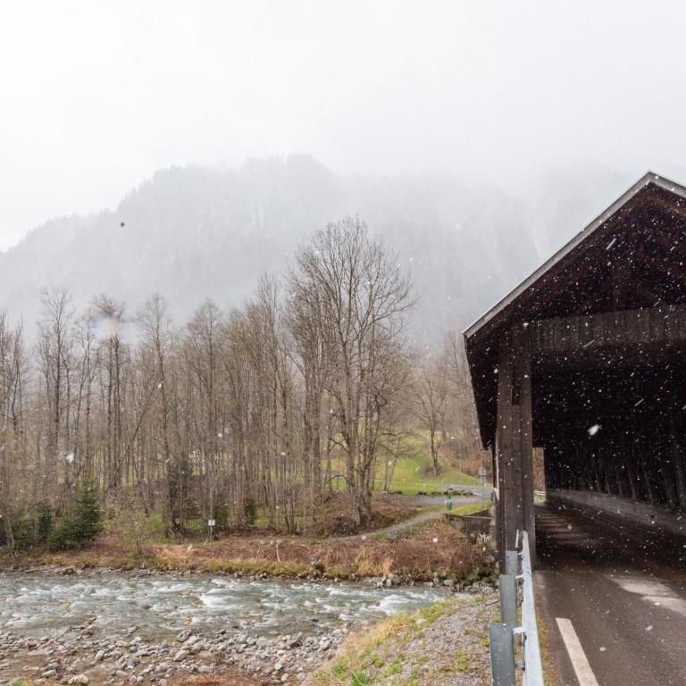 Wohnung in Vorarlberg nahe Skigebiet Montafon - Apartment mit 2 Schlafzimmern - 28