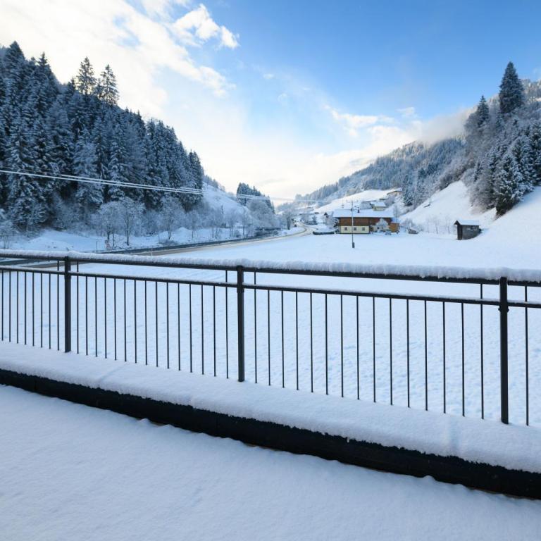 Chalet Schiederhof - Ferienhaus - 11