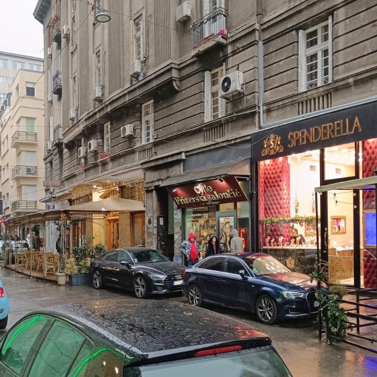 Illusion Downtown Apartment - Apartman sa 2 Spavaće Sobe - 20