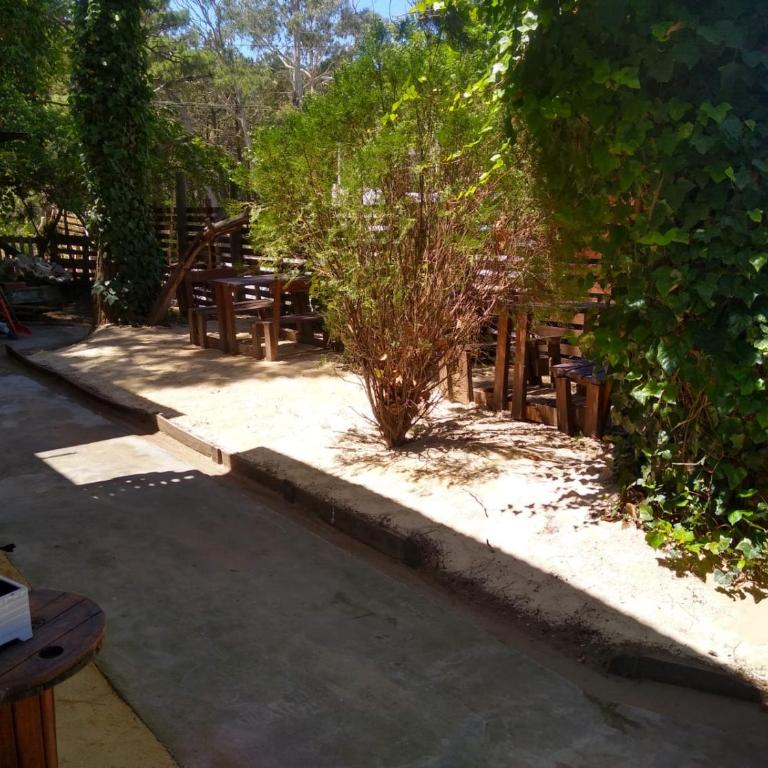 cabañas del bosque - Apartamento de 1 dormitorio - 10