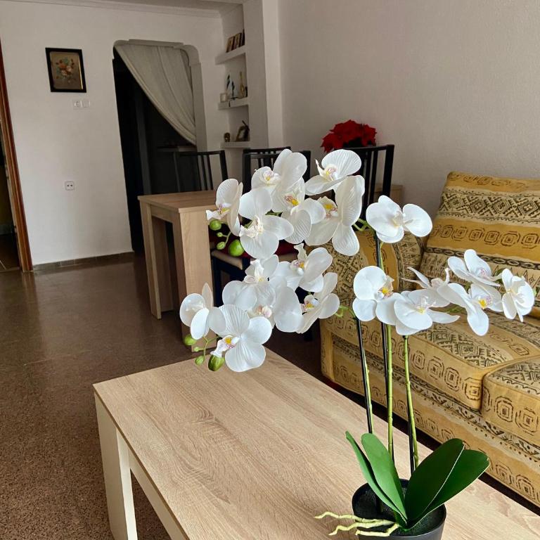 Apartments in the Heart of Santa Pola - Apartamento de 3 dormitorios - 7