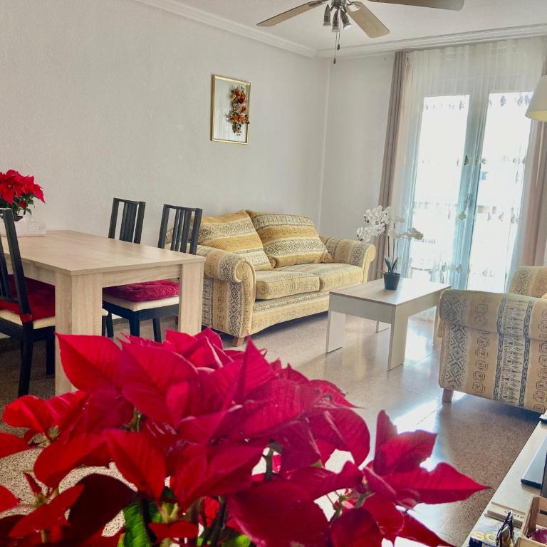 Apartments in the Heart of Santa Pola - Apartamento de 3 dormitorios - 6
