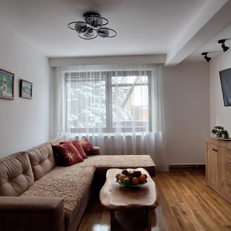 Peko apartman Jahorina - Apartman sa 1 Spavaćom Sobom - 4