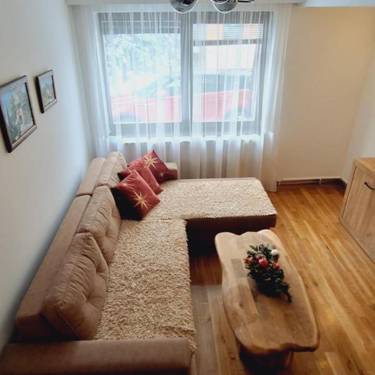 Peko apartman Jahorina - Apartman sa 1 Spavaćom Sobom - 13