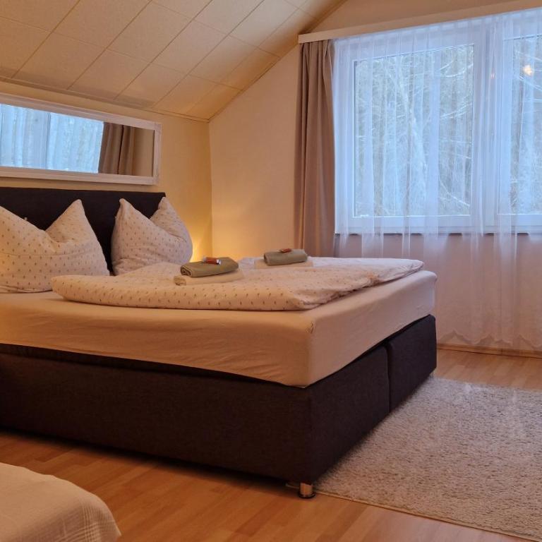 Ferienwohnung Edeltraud, fußläufig zum See und 20 Minuten vom Skigebiet entfernt - Appartement 1 Chambre - 6