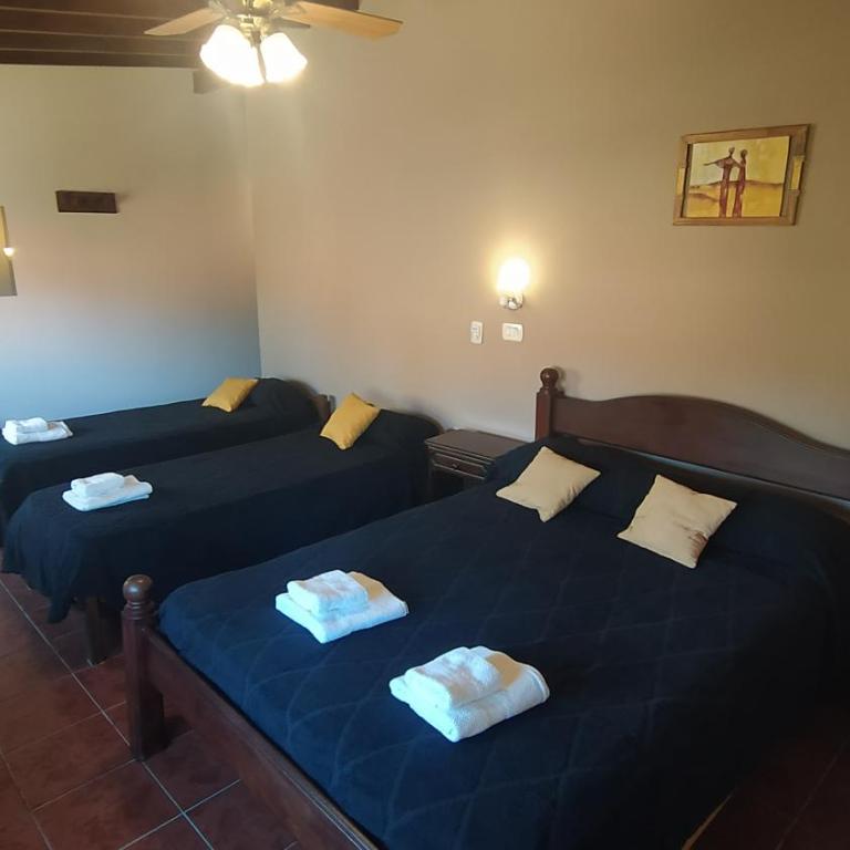 Hotel Vireo - Quadruple Room - 8