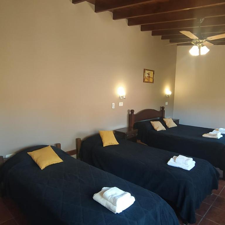 Hotel Vireo - Quadruple Room - 5